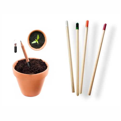 lapices-con-semilla.jpg Lapíz ecologico con semilla plantable - Imagen 1